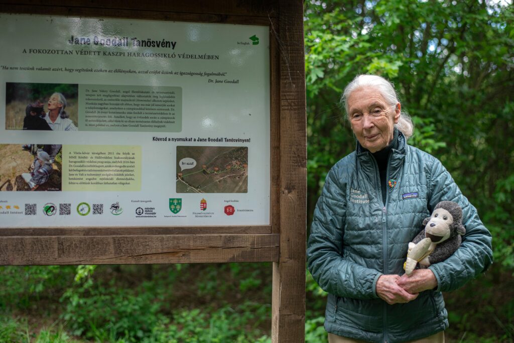 Platz 5: Jane Goodall (Foto: Shutterstock)